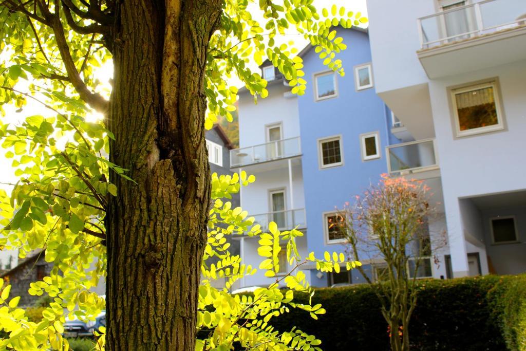 Hotel Ricarda Schlangenbad Kültér fotó